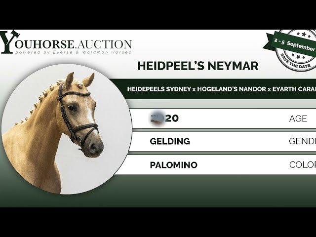 Heidepeels Neymar