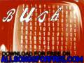 bush - Swim (Live) - Sixteen Stone Import