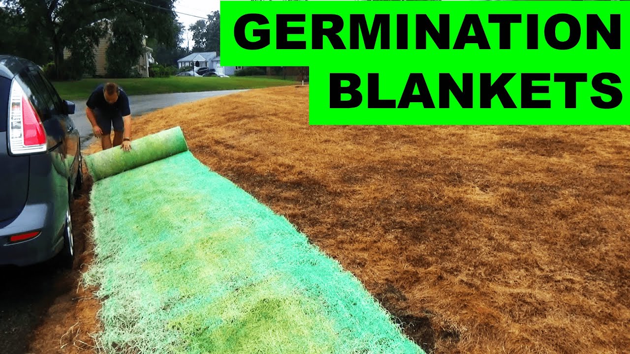 Using Germination Blankets to Grow Grass Seed on a Hill