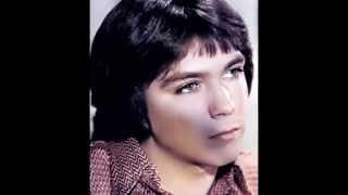 David Cassidy ~ Song of Love