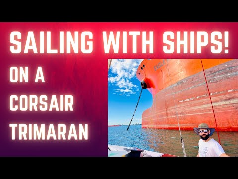 Sailing ⛵️ The Corsair Trimaran off the cost of Long Beach 🏝️ California with Captain Damon