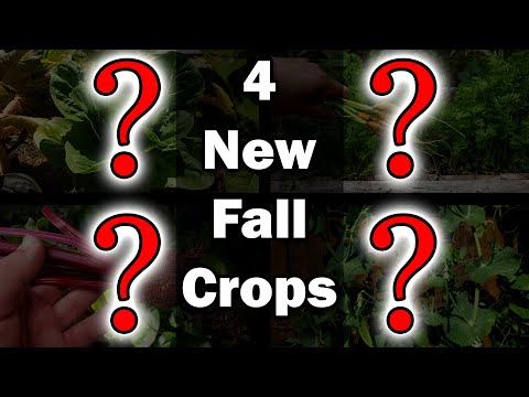 Garden Quickies Volume 1 Episodes 1 to 10