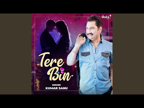 Tere Bin — watch video
