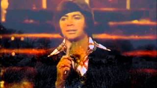 Bobby Goldsboro - Honey Remastered