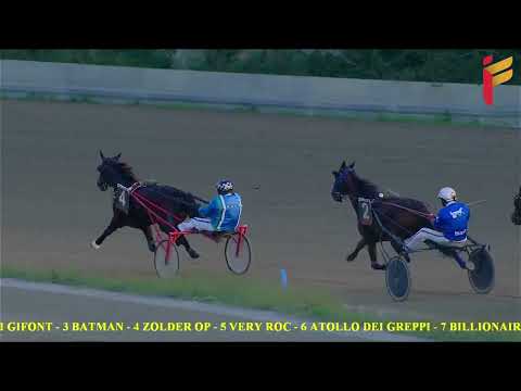 VII corsa del 9 novembre 2022 - Cat. F - Metri 1600 - Gentlemen