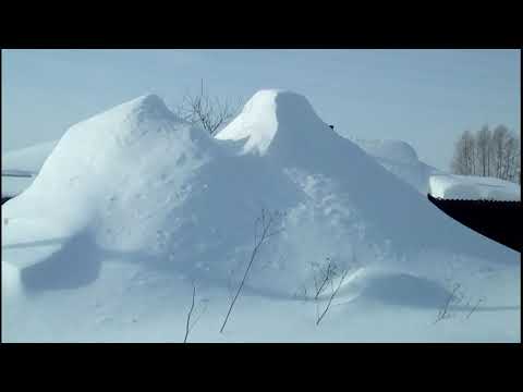 Собирается ли февраль уступать место весне. О прогнозе погоды. Влог.