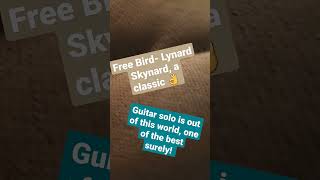 Free Bird|Lynard Skynard, a classic and beautiful guitar solo ♥️