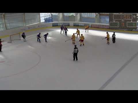 U17-Elit: ZSC Lions - SCL Young Tigers