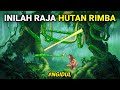 DIASUH GORILA DARI BAYI TIDAK TAU DIRINYA MANUSIA NGIDUL FILM TARZAN 1999