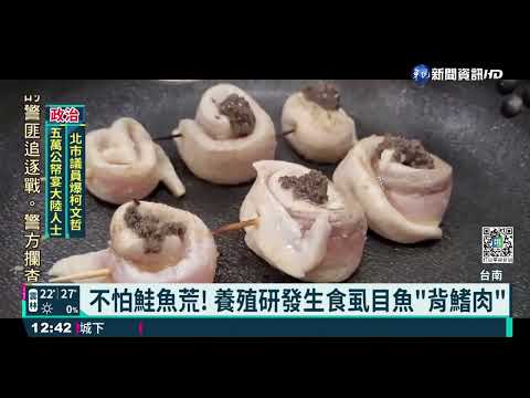 不怕鮭魚荒! 養殖研發生食虱目魚"背鰭肉"