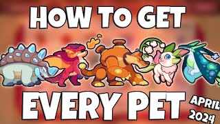 Prodigy Math Game | How to Obtain EVERY Pet in Prodigy! (April 2024)