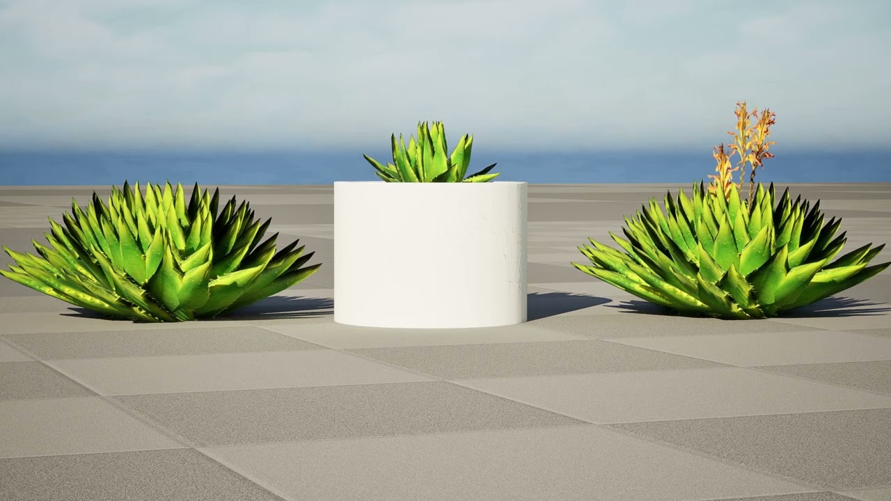 Planta Espiral de Aloe Modelo 3D
