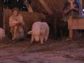 Kolęda - Przybieżeli do Betlejem pasterze 