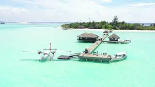 #tropicalbeach #tropical #relaxation #beautifulbeaches #oceansound #maldives #beachlife #holidays