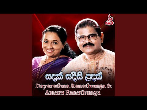 Sandak Sadisi Landak