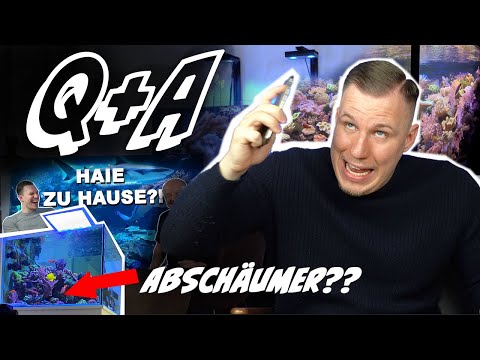 Q&A - SALTWATER AQUARISTIC Questions + Channel start NEYTROP + for beginners *english subtitles*