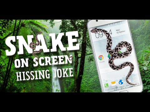 Snake On Screen Hissing Joke Video