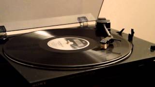 The Tallest Man on Earth - Into The Stream (Vinyl Rip)