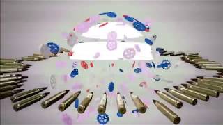 Cover art for contrapasso -paradiso-