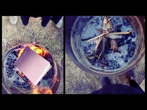 WE ALL WANT TO - Burn the Book