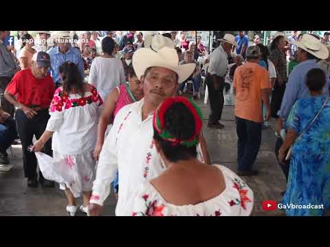 Zapateando "El Gusto" desde Xilitla 2019 con el trío Caimanes del Río Tuxpan