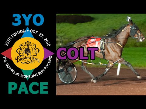 2018 Breeders Crown - Dorsoduro Hanover - 3YO Colt Pace