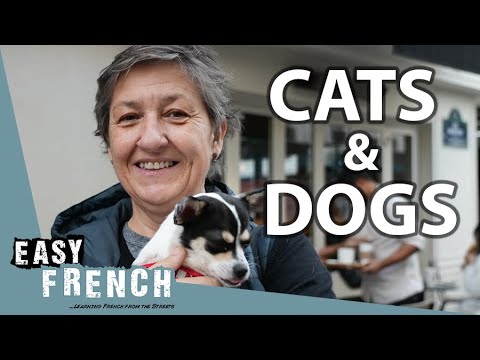 We Try The Most Popular French Snacks Super Easy French 156