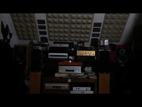 Densen B150 integrated amplifier / Esoteric / PCM twenty 22