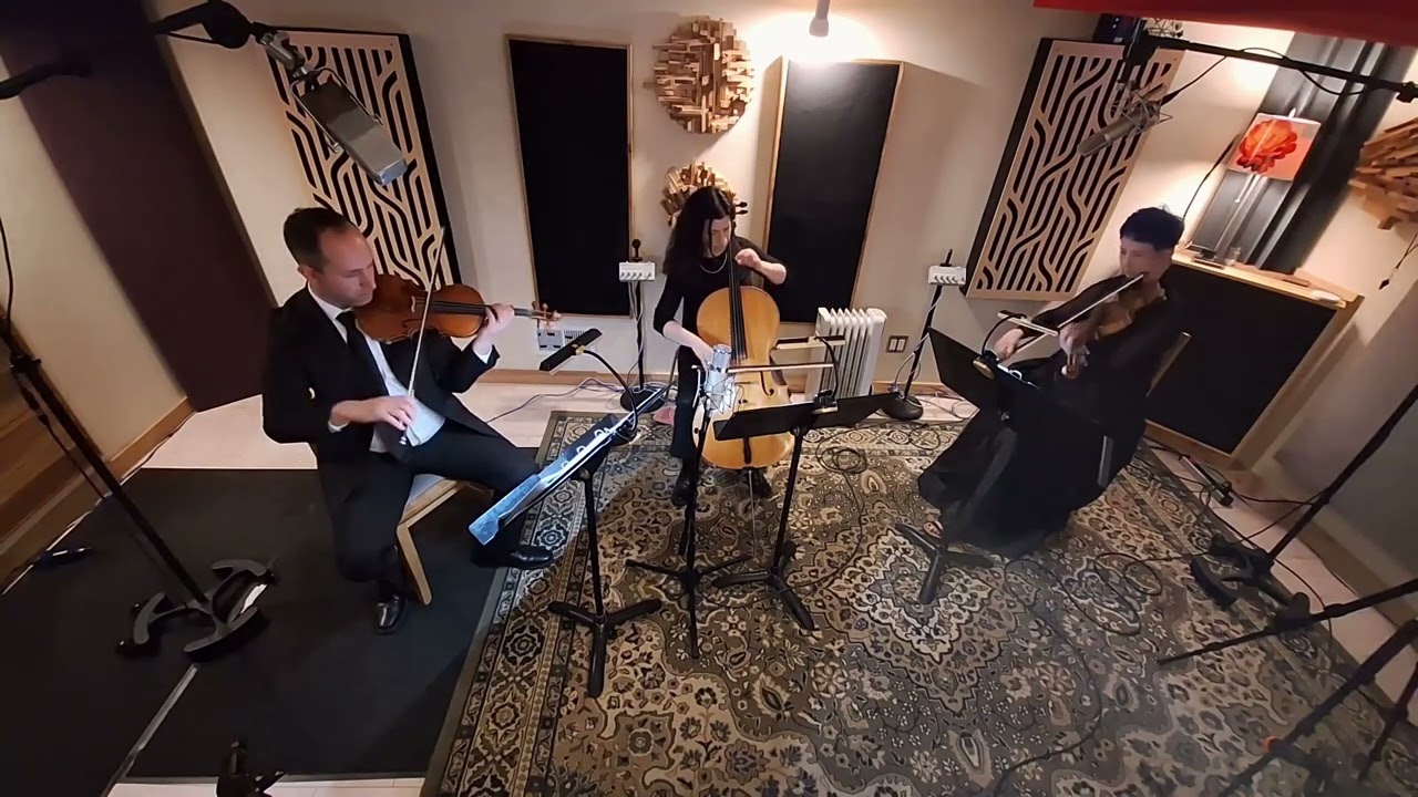 Promotional video thumbnail 4 for Sonorous Strings
