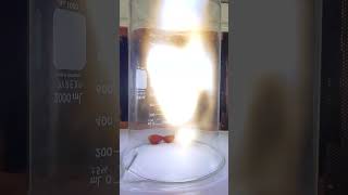 grape in a 20,000 watt microwave #science #experiment