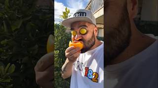 🍋🍋🍋ASMR AMERICA'S ORIGINAL DUBBLE BUBBLE GUM (3 FRUIT FLAVORS) AND EATING...part3