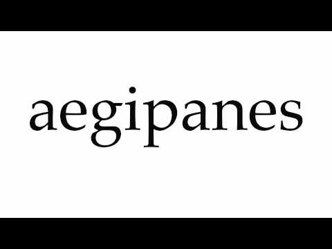 How to Pronounce aegipanes
