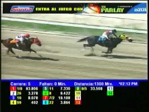 Resumen Sabado, 01 de Septiembre de 2012 - La Rinconada