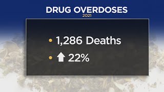 Minnesota mirrors national trend of increasing overdose deaths
