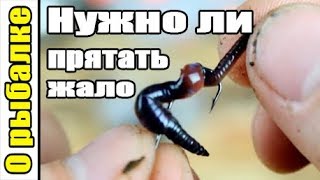 Клев рыбы в пермском крае на 5 дней