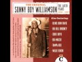 Sonny Boy Williamson, Desperado woman blues