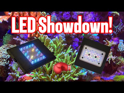 Reef LED Showdown ReefBreeders Meridian, Edge Vs AI Blade, Ecotech Radion, & Reef Factory Reef Flare