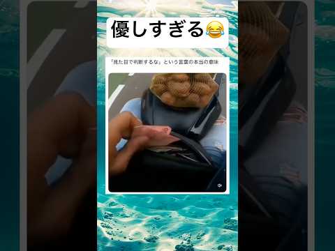 まさかの展開www #shorts #おもしろ #バイク #事件 #海外