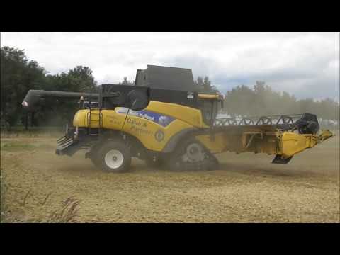 Erbsen dreschen Daue & Partner GmbH Neulewin 2019 New Holland Case Mercedes
