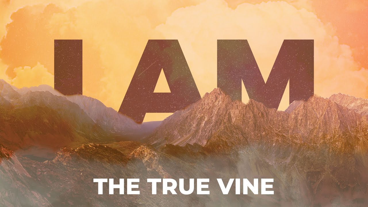 I Am The True Vine