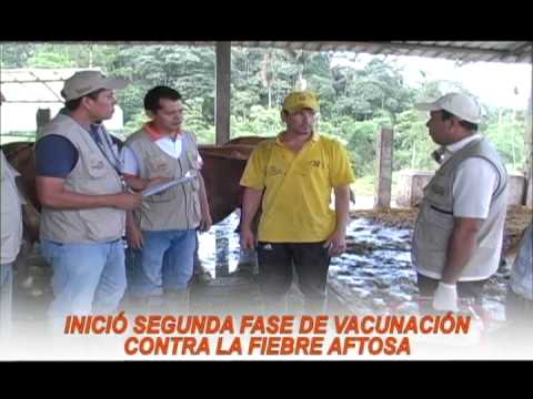 PREFECTURADE STO.DGO. DE LOS TSÁCHILAS INFORMA 18 DE NOVIEMBRE 2013