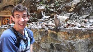 preview picture of video 'Feeding Monkeys at Batu Caves, Malaysia'