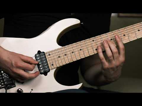 RIVERS ABLAZE - Devourer of the Cosmic Flame (Guitar Playthrough) by Márton Kertész