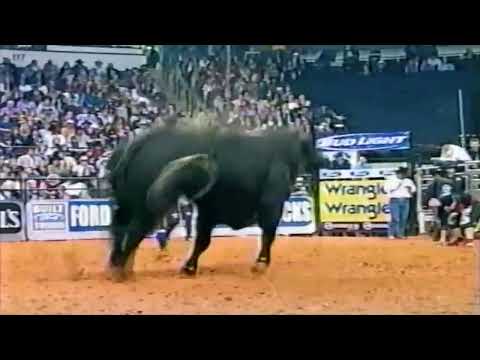 Slick Willy bucks Luke Snyder - 04 PBR Bossier