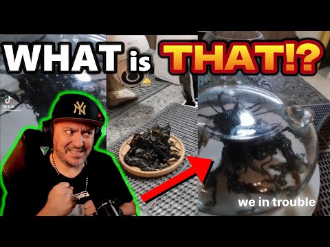 Weird Black Goo Lifeform Discovered! Found on a Meteorite. Alien Life Form?