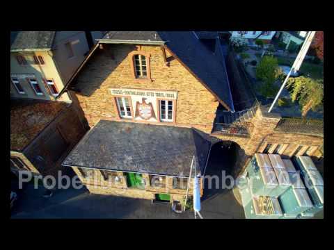 Der gute Tipp: Treis Sekt Merl - Mosel