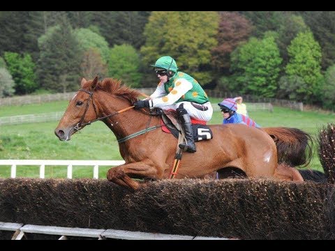 2018 LIMERICK D Pack Packaging Rated Novice Chase 28 December