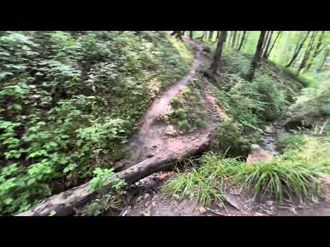 "Discover Serene Nature Trails: Memorable Hiking Experience"