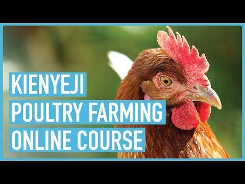 Profitable Pig Farming and Best Practices for success Course Outline