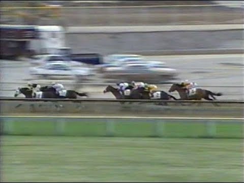 1989 Pimlico Special